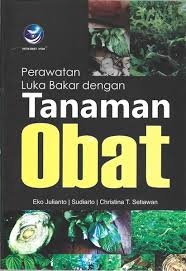 klik untuk memperbesar gambar